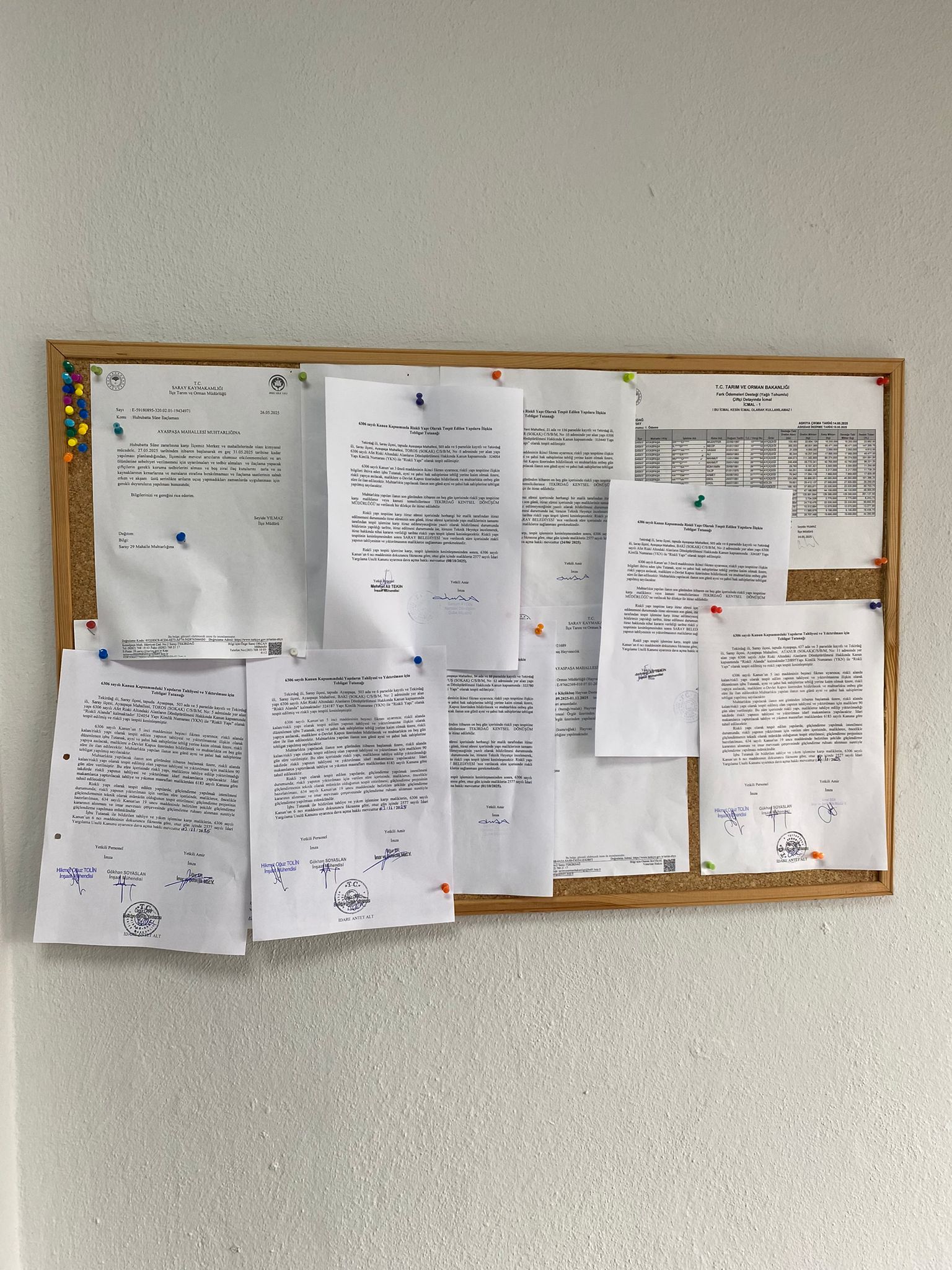 WhatsApp Image 2025-11-03 at 16-51-29 (2)